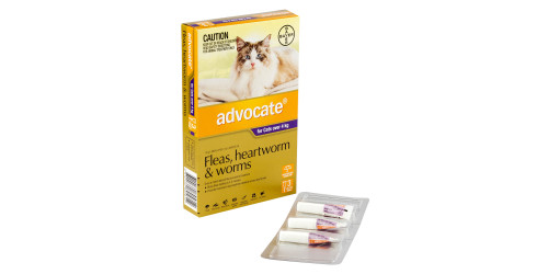【極美品】【非売品】犬と猫の寄生虫症アトラス 犬と猫の寄生虫症アトラス PARASITES