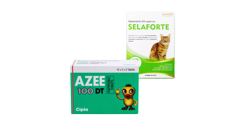 セラフォーテ猫用とアジー100mg｜フィラリア予防・抗生物質｜犬