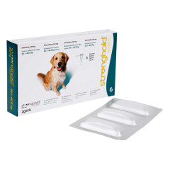 ストロングホールド大型犬用6本(レボリューション欧州版