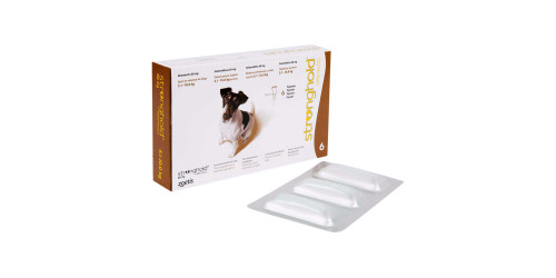 stronghold-small-dog-