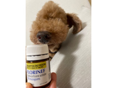 フロリネフ0.1mg｜アジソン病治療薬｜犬猫薬の通販｜ペットくすり